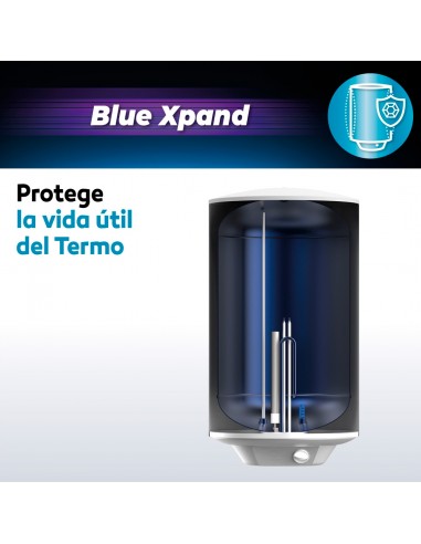 Termo Eléctrico Mural 100 Litros...