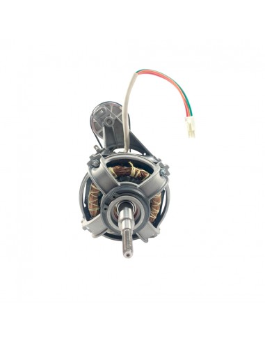 Motor Con Polea Y Correa Para...