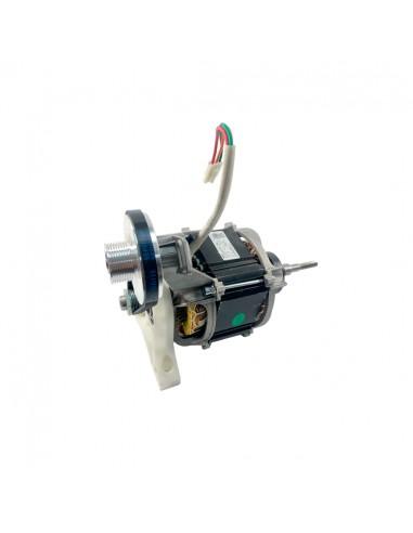 Motor Con Polea Y Correa Para...