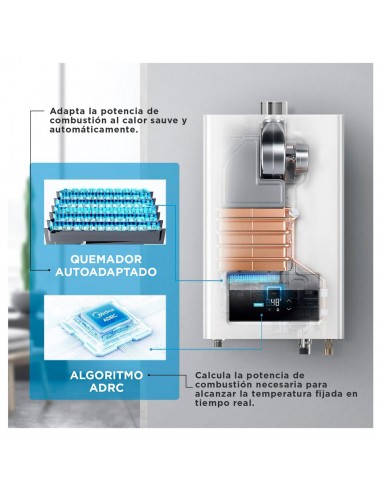 Calefont Tiro Forzado 13 Litros Gas...