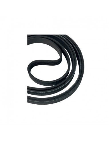 Correa Para Secadora 6PH 1951 Mademsa...