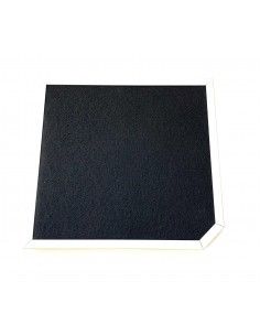 FILTRO CARBON FDV 2