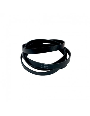 Correa Para Secadora 1956 7PH (Ver...