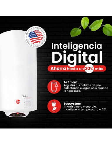 Termo Eléctrico Mural Rheem 30 Litros
